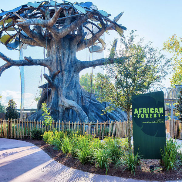 Commercial Electricians Project Jacksonville Zoo- African Forest