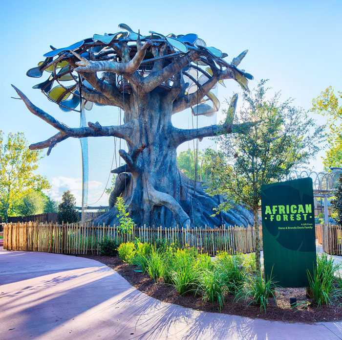 Jacksonville Zoo- African Forest